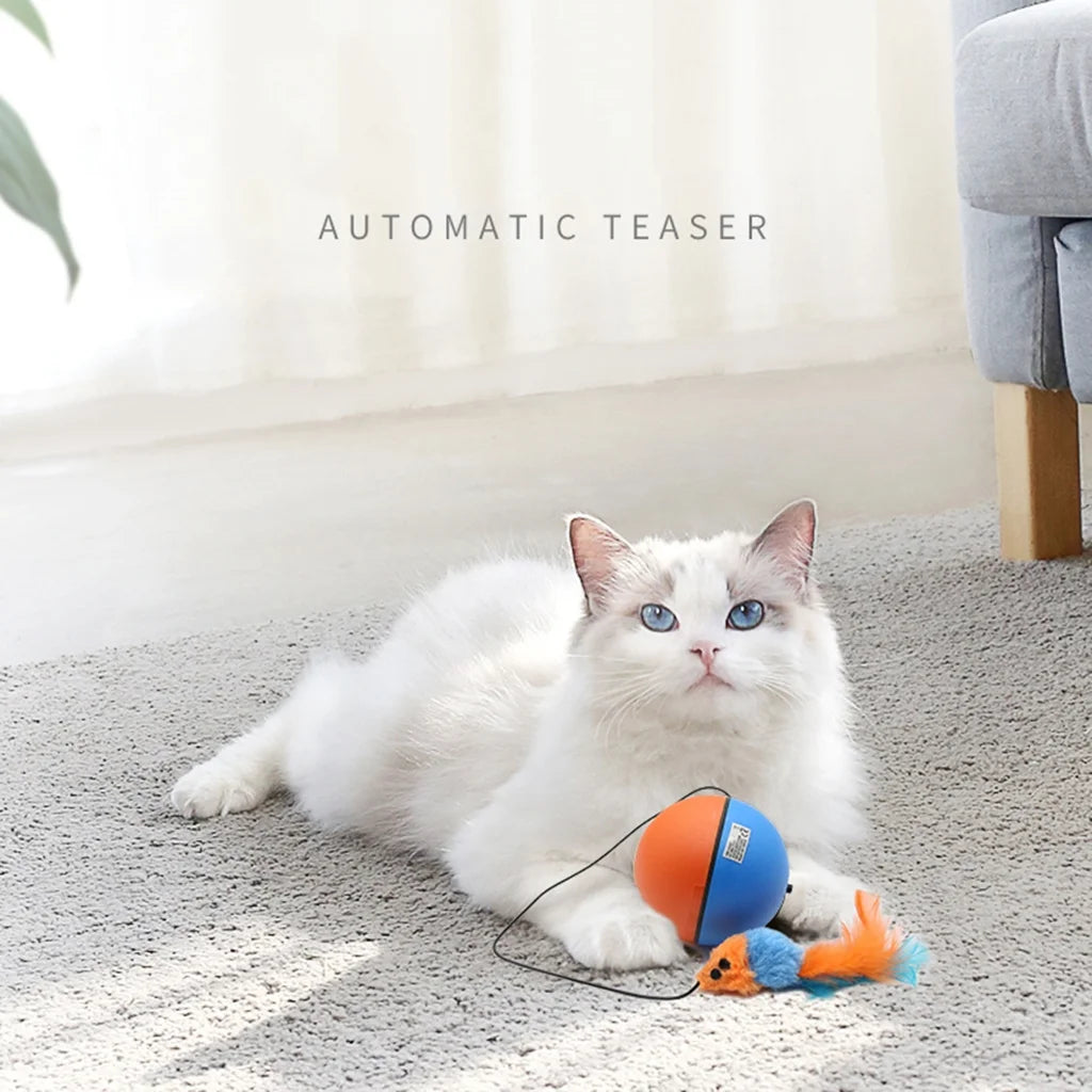 Interactive Cat Ball Toy Robotic Kitten Toy Kitten Ball Cat Moving Toy Automatic Moving Ball Cat Toy Cat Scratcher Toy