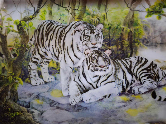 3D Picture 9502--Two White Tigers