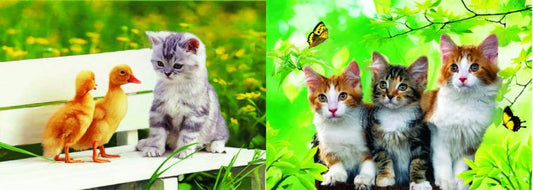 3D Picture 9571-Kitten with Duckies/Three Kittens