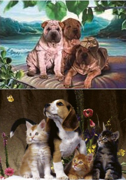 3D Picture 9615--Puppies/Kittens with puppy